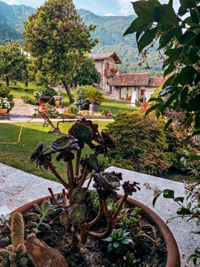 La Roggia - Molino Maufet Mühle - Patio on the garden Colico Exterior foto